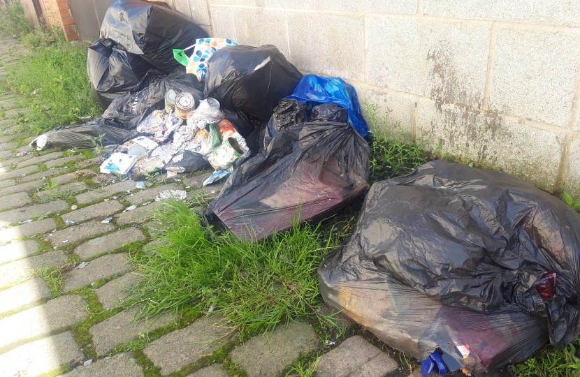 Mill Hill Back Alley